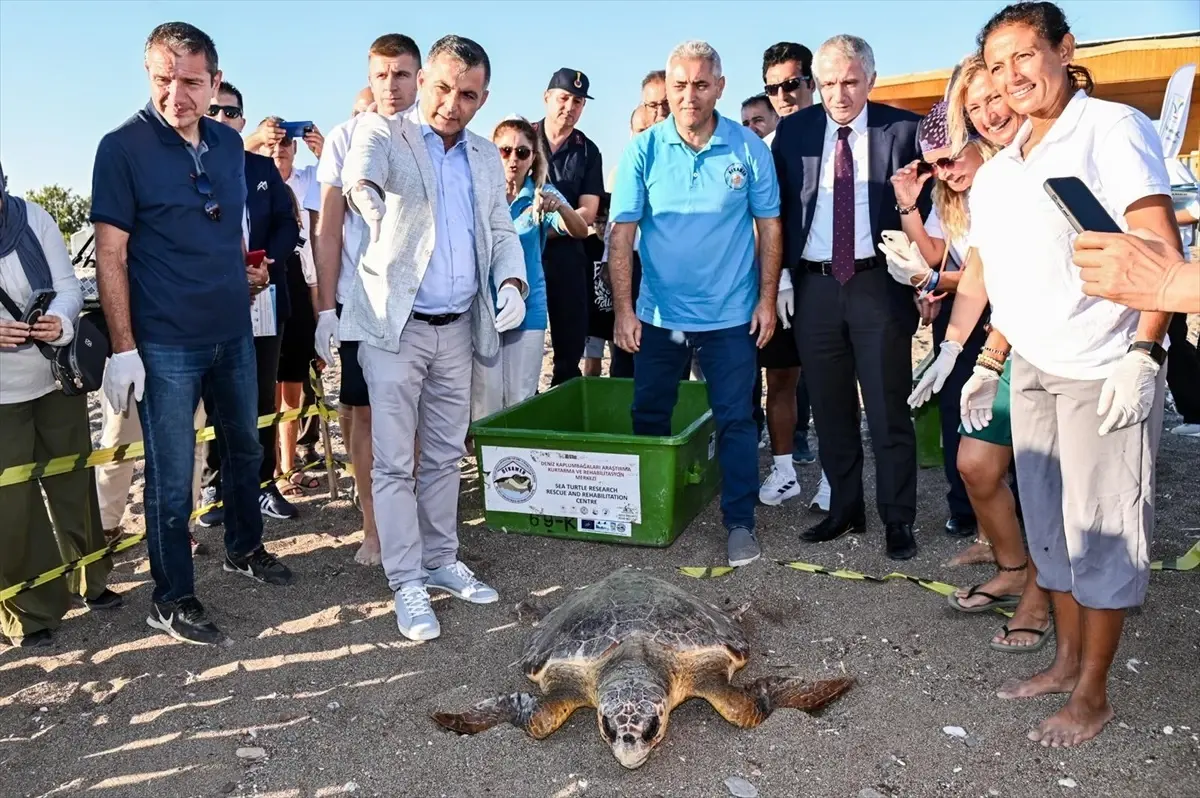 İki Caretta Caretta Denize Bırakıldı